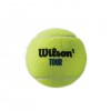 Wilson Tour Premier All Court Tennis Balls